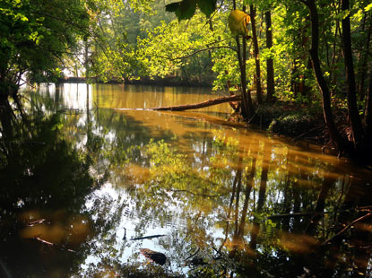 Die Mndung dr Nieplitz  beim Ort Blankensee