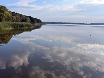 Blick von dem Aussichtssteg auf den Blankensee
