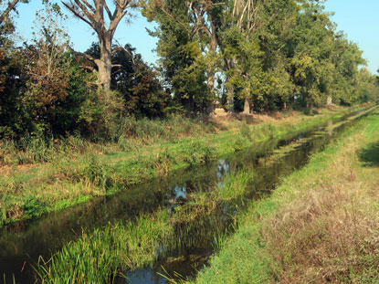Fluss Nuthe bei Lwendorf, einem Ortsteil von Trebbin