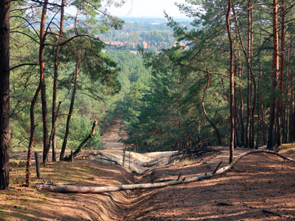 Aufsteig auf den Lwendorfer Berg