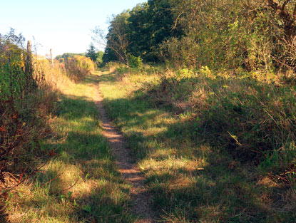 Feldweg am Nordufer des Seddiner Sees