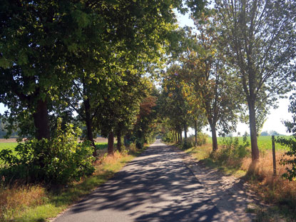 66-Seen-Weg zwischen Blankensee und Stcken