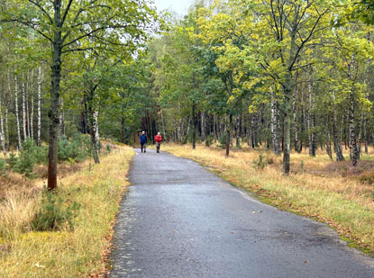 Nach der Bahnunterfhrung: Asphaltweg mit Birken