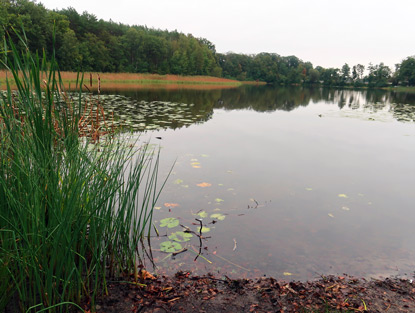 Der Kleine Seddiner See