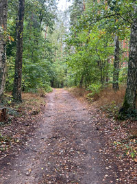Wabderweg am Kleinen Seddiner See