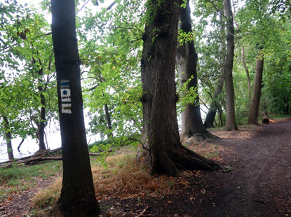 Uferweg stlich um den Caputher See