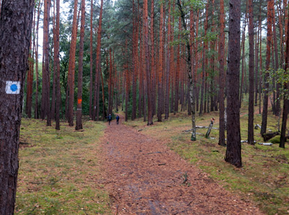Wanderweg vor dem Teufelsee