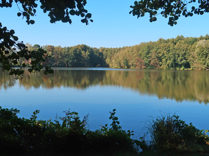 Boddensee bei Birkenwerder