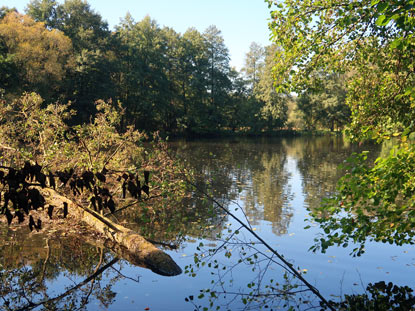 Briesesee ein knstlich angelegter See