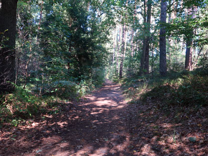 Wanderweg durchs das Briesetal