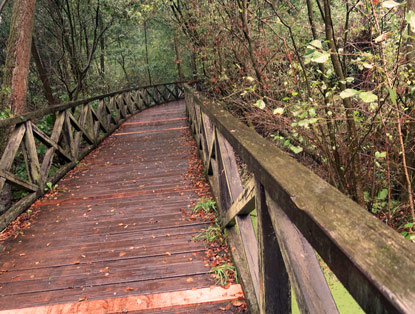 Holzbr�cke �ber ein Sumpfgel�nde vor Wandlitz