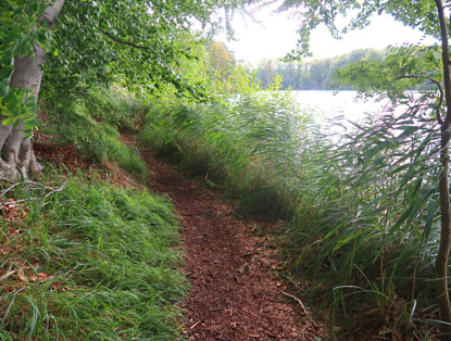 Uferweg am Hellsee
