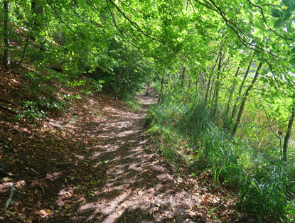 N�rdlicher Uferweg am Liepnitzsee