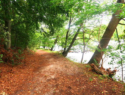 Die Uferpromende n�rdlich vom Obersee f�hrt nach Lanke