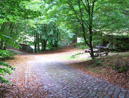 Rastplatz am Liesenkreuz