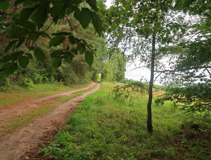 Auf dem 66-Seen-Weg vor Sch�nholz