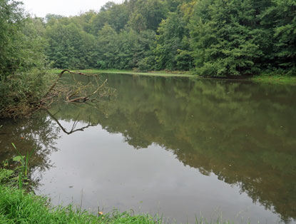 Buchsee im Gammengrund