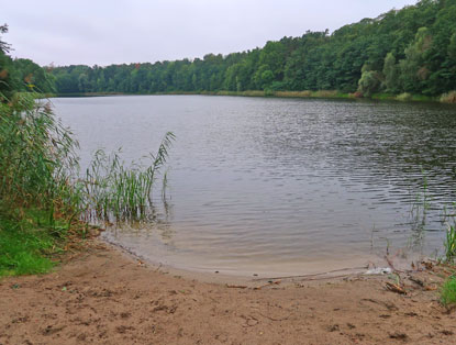 Naturbadestrand am Gamensee