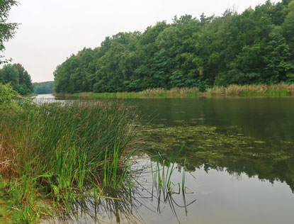 Blick auf den Gamensee 