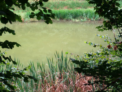Langer See im Gamengrund bei Leuenberg