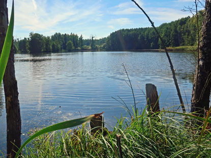 F�ngersee bei Wesendahl im Gamengrund