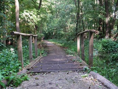 Wanderweg am Gro�en Stienitzsee beim Ort Hennickendorf