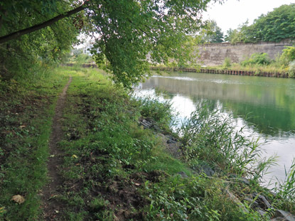 Wanderweg entlang dem M�hlenflie� vor R�dersdorf