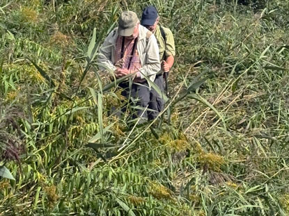 Bei Tasdorf: Keine Markierung auf dem 66-Seen-Weg