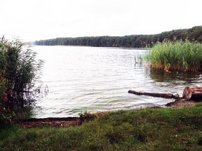 Badestrand am Gro�en Stienitzsee am n�rdlcihen Ufer