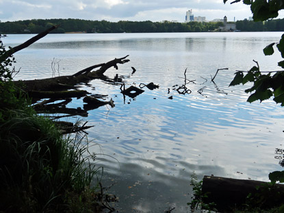 Gro�er Steinitzsee Blick vom westlichen Uferweg