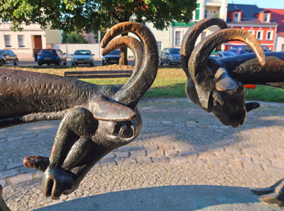 Zwei dickkpfige Ziegen auf der Brcke in Frstenwalde