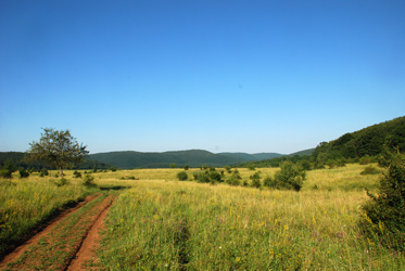 Hochflchen prgen das Landschaftsbild des Nationalparks Aggtelek in Nordost-Ungarn