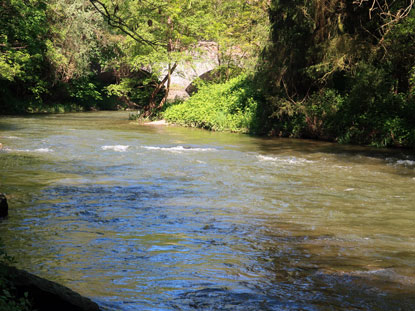 Wandern durch das Ahrtal: Die Ahr bei  Walporzheim