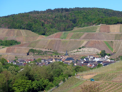 Wanderung durch das Ahrtal: Rckblick auf den Ort Dernau