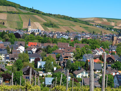 Wandern durh das Ahrtal: Blick auf Ahrweiler