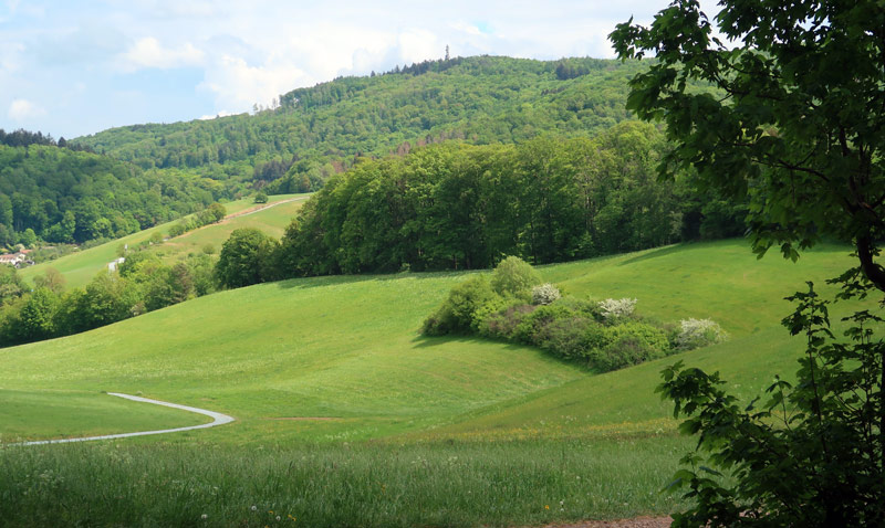 Odenwald Alemannenweg 1. Etappe von Auerbach nach Alsbach. Blick auf den Felsberg