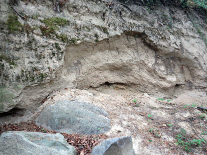 Alemannenweg Odenwald: Lssboden unterhalb von Schloss Alsbach