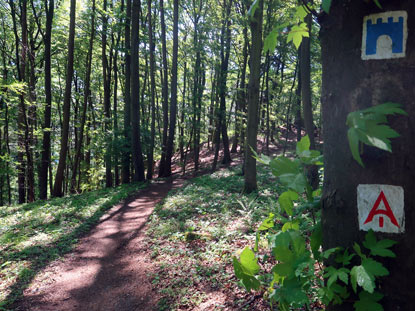 Alemannenweg. Der Weg fhrt auf der Etappe Alsbach zur Burg Frankenstein berwiegend durch Laubwald