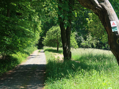 Alemannenweg nach der Margarete Sthler Ruhe