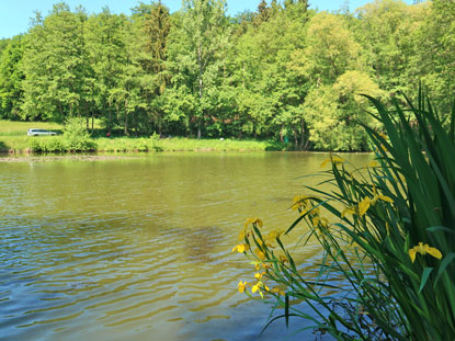 Alemannenweg Brensbach: Eberhardtsbrunnen