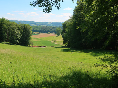 Alemannenweg Blick ins Gersprenztal in der Nhe der Htte Heils-Ruhe