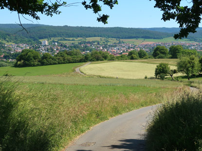 Alemannenweg: Freie Landschaft vor Michelstadt