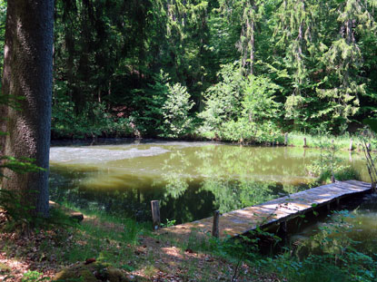 Alemannenweg am Kpfchensee