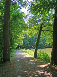 Alemannenweg am Groen See