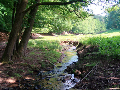 Alemannenweg-07-Brudergrund Rossbaechlein