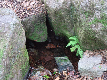Alemannenweg: Modauquelle entspringt auf 505 m und mndet in den Altrhein