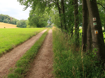 Alemannenweg vor Beedenkirchen