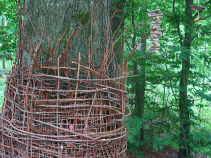 Alemannenweg bei Neunkirchen: Ein Wunschbaum