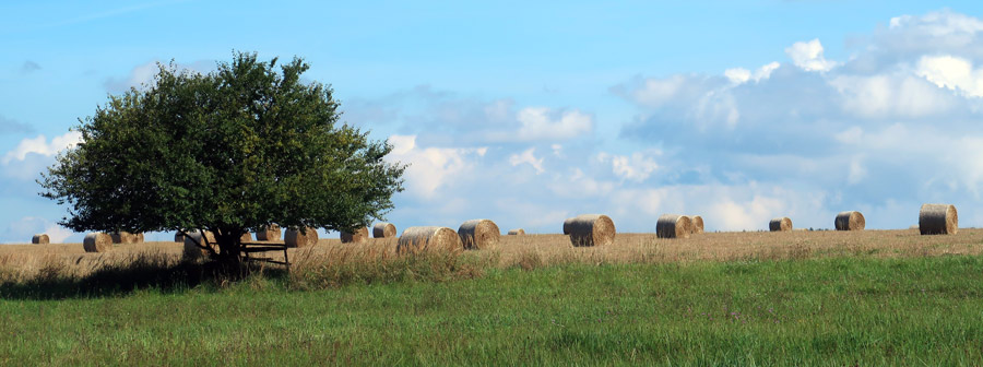 Alemannenweg