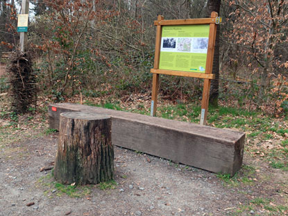 An zwei groen Handelswegen bei Dorndiel stand bis 1930 die "Jger-Buche"